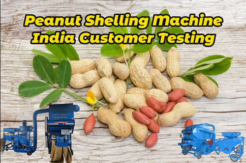 آخرین اخبار شرکت در مورد چگونه پوسته بادام زمینی را جدا کنیم؟---ماشین پوست اندازی بادام زمینی