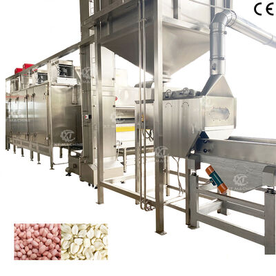 قیمت خوب خط تولید بو دادن و سفید کردن بادام زمینی با گرید SS304 با نرخ سفید کردن بالا و دارای گواهینامه CE آنلاین
