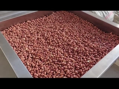 کنترل PLC دانه های مستمر کوره دانه های مستمر کبابگر خشک کن / کبابگر