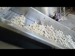 دستگاه سرخ کردن مداوم