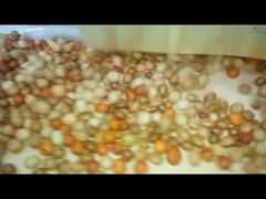 خط تولید پوشش و برشته‌سازی